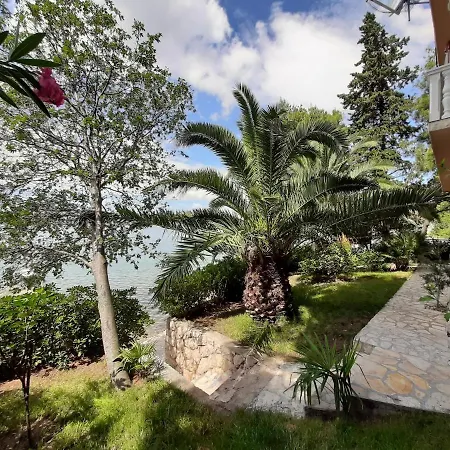 Apartment Agrijan Maslenica